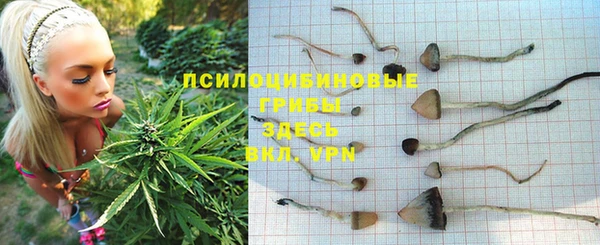 таблы Алексеевка