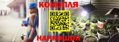 Альфа ПВП Пенза