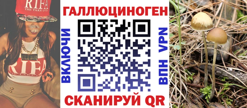 мориарти формула Иркутск Псилоцибиновые грибы Psilocybine cubensis