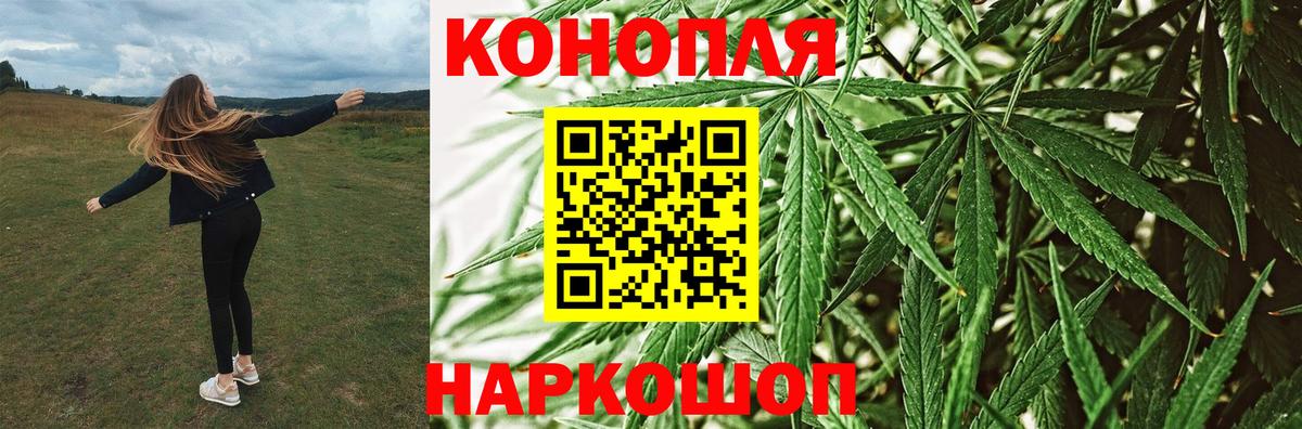 Шишки марихуана планчик  Марихуана конопля  Иркутск  Вход с VPN 